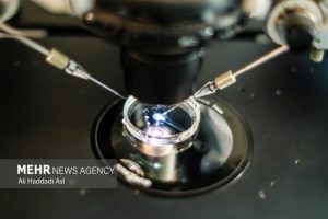 اخبار و مقالات هنری، اجتماعی و اقتصادی - آماج نیوز