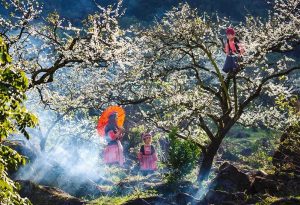 رکوردشکنی گردشگری ویتنام در سال نو قمری اسب؛ رشد چشمگیر آمار مسافران و درآمد در ۲۰۲۶ 1 رکوردشکنی گردشگری ویتنام در سال نو قمری اسب؛ رشد چشمگیر آمار مسافران و درآمد در ۲۰۲۶
