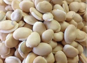 ۳ غذای دارویی برای تقویت طحال و معده بعد از تت | بازگشت تعادل گوارشی پس از سال نو قمری 1 ۳ غذای دارویی برای تقویت طحال و معده بعد از تت | بازگشت تعادل گوارشی پس از سال نو قمری