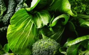 ۵ منبع کلسیم غیرلبنی برای سلامت قلب و عروق؛ راهنمای کامل تأمین کلسیم در افراد مبتلا به عدم تحمل لاکتوز