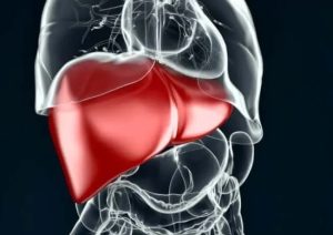 علائم کبد چرب چیست؟ از نشانه‌های خاموش تا درمان طبیعی کبد چرب (Fatty Liver) که باید بدانید!