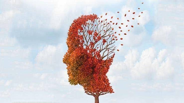 اخبار و مقالات هنری، اجتماعی و اقتصادی - آماج نیوز