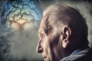 اخبار و مقالات هنری، اجتماعی و اقتصادی - آماج نیوز