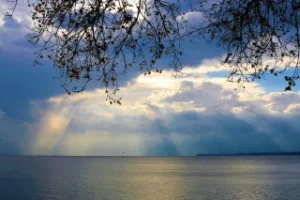 اخبار و مقالات هنری، اجتماعی و اقتصادی - آماج نیوز
