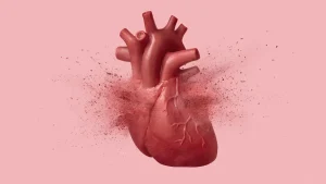 اخبار و مقالات هنری، اجتماعی و اقتصادی - آماج نیوز