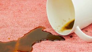 ۳ روش ساده برای پاک کردن لکه قهوه از فرش با مواد خانگی