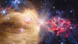 اخبار و مقالات هنری، اجتماعی و اقتصادی - آماج نیوز