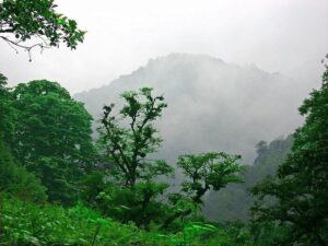 اخبار و مقالات هنری، اجتماعی و اقتصادی - آماج نیوز