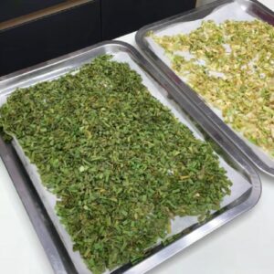 آموزش خشک کردن پیازچه در خانه و تهیه پودر پیازچه خانگی؛ روشی ساده برای کاهش دورریز سبزیجات